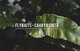 Cahaya Cinta Lirik